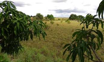 Imagem 3: Terreno, área de chácara