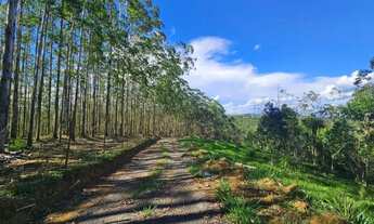 Imagem 2: Terreno próximo ao centro de Juquitiba
