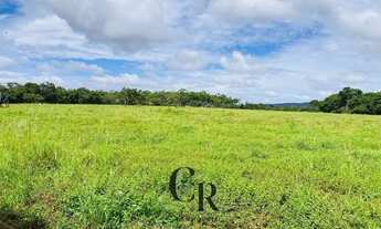 Imagem 6: Fazenda em Cristianópolis - 12 alqueires