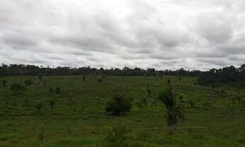 Imagem: Fazenda na BR 364 Manoel Urbano