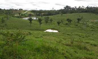 Imagem 5: Fazenda na BR 364 Manoel Urbano