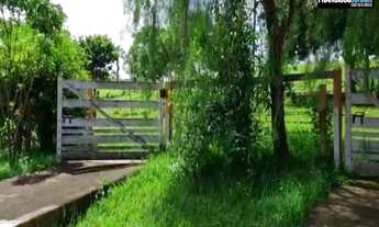 Imagem 5: Chácara em Anicuns, 4 Alqueires de Pura Beleza, Rica em Água, Pomar, Cozinha Caipira, top