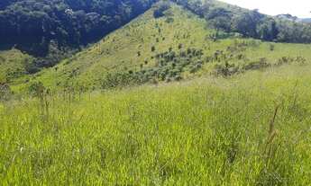 Imagem 5: Sítio em Bias Fortes MG