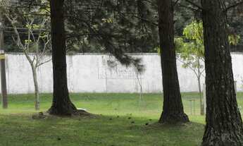 Imagem 2: BARUERI - Terreno Padrão - Aldeia da Serra