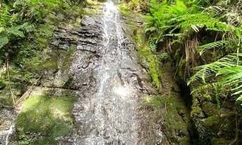 Imagem 6: Terreno Rural Urubici de 2 hectares