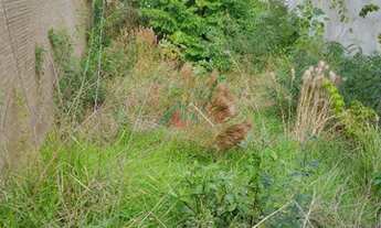 Imagem 2: PORTO ALEGRE - Terreno Padrão - Vila Assunção