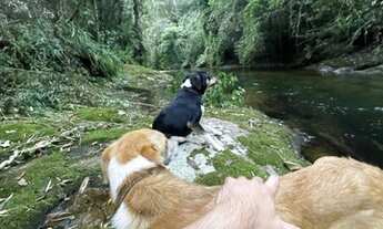 Imagem 5: Excelente terreno em Visconde de Mauá !!!