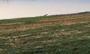 Imagem 2: Chacara/Sitio/Lote no Manso