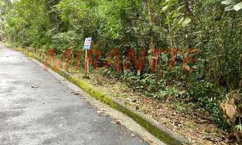 Imagem: Em Serra Da Cantareira