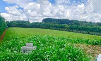 Imagem 2: Terreno pano com 2.850 m² à venda no Jardim das Palmeiras