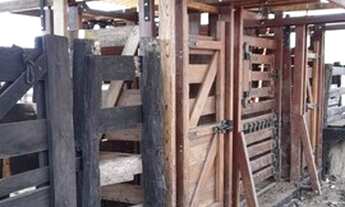 Imagem 3: Vendo fazenda em Santa Maria TO