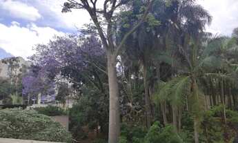 Imagem 3: Apartamento para venda possui 78 metros quadrados com 2 quartos em Centro - Diadema - SP