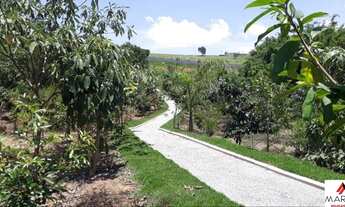 Imagem 6: Condomínio San Vitale