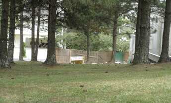 Imagem 3: BARUERI - Terreno Padrão - Aldeia da Serra