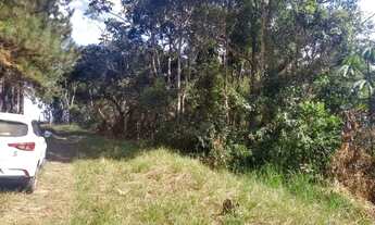 Imagem 2: Terreno de 4.000m² Vila Moraes