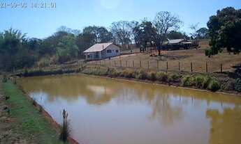 Imagem 5: Sítio à venda em Cosmorama com piscicultura montada