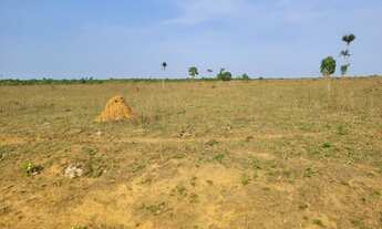 Imagem 8: Fazenda para Venda em São Félix do Xingu