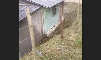 Imagem 2: Vede se sitio na fazenda do bom jesus