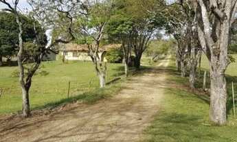 Imagem 7: Fazenda na Região de Tatui oportunidade