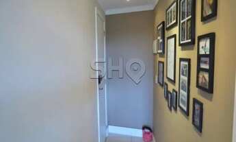 Imagem 4: Apartamento em Excelente localização, rua sem saída, na região mais arborizada da Zona Nor