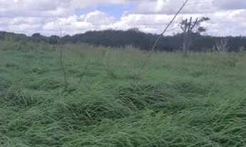 Imagem 4: Fazenda/Sítio/Chácara para venda com 450 metros quadrados com 8 quartos