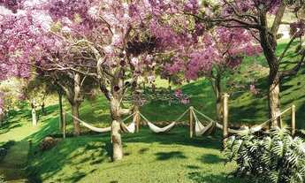 Imagem 6: FLORIANóPOLIS - Conjunto Comercial/Sala - Saco Grande