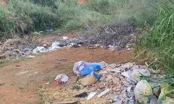 Imagem 4: Lote no setor tremendão rua São bento