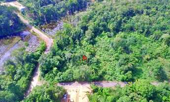 Imagem 5: Chácara Janauary 02/ 1.480m²/ Iranduba!