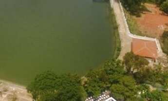 Imagem 5: Chácara de 40.000Mt2 em Indiara - GO