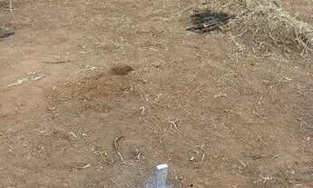 Imagem 3: Vendo lote quitado ótima localização