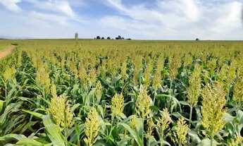 Imagem 5: Alugo Sitio Chácara com aluguel com preço sob consulta