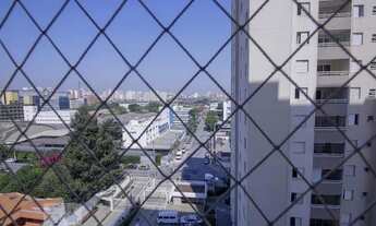 Imagem 4: Apartamento para Aluguel - Água Branca, 3 Quartos, 70 m2