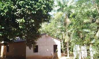 Imagem 5: Vendo Terra 4 alqueires e meio PA Rio Branco