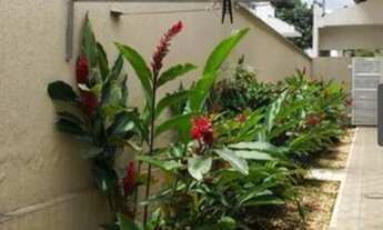 Imagem 5: Casa no Jd Madri