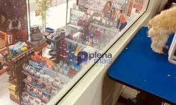 Imagem 5: Ponto e franquia à venda, 210 m² por R$ 1.013.000 - Vila São Pedro - Hortolândia/SP