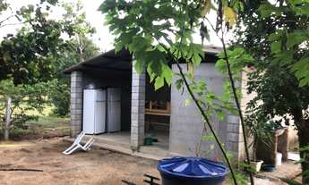 Imagem 6: Vendo chácara com casa 140.000 mil reais