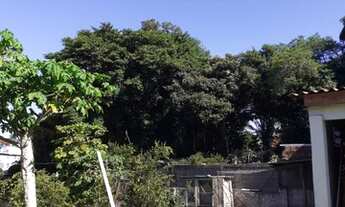 Imagem 7: Lote/Terreno para venda c/471 m² c?Casa Antiga 3 dormitórios, Medianeira - Porto Alegre