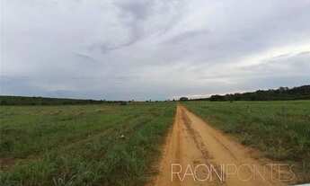 Imagem 7: Invista em uma fazenda de ILP com recursos hídricos abundantes em Darcinópolis - TO