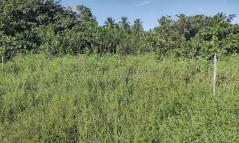 Imagem 2: Vendo terreno em Beberibe -ceara