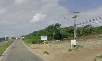 Imagem: Terreno com 1.000 m2 no Parque das Árvores