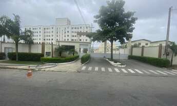 Imagem: Apartamento no jardim dos ipês para aluguel