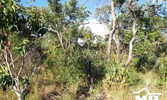 Imagem 3: Fazenda 151 alqueires ( 735 hectares ) Uruçuí-PI