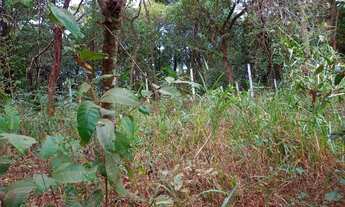 Imagem 5: Chácara com área de 1080 m² em Mateus Leme/MG