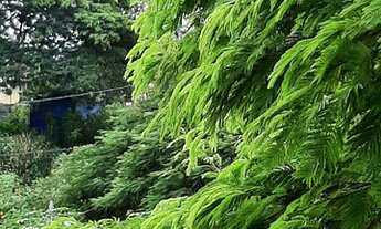 Imagem 4: Casa para venda tem 220 metros quadrados com 4 quartos em Centro - Rio das Ostras - RJ