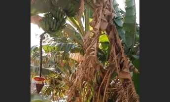 Imagem 4: Casa de 3 quartos 60 mil apenas