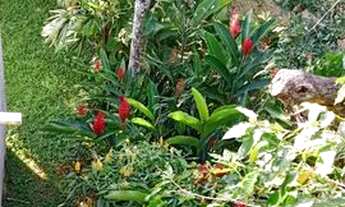 Imagem 7: Suite no Canto da Lagoa em meio a natureza