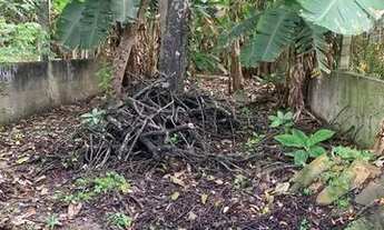 Imagem 4: Alugo casa no Bonfim em estância