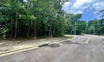 Imagem 3: Lote Alphaville 3