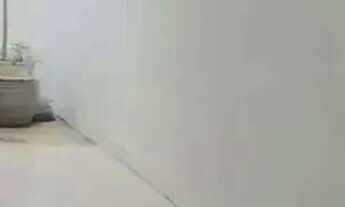 Imagem 7: BAIXOU!!! Excelente Sobrado à venda no Condomínio Malibu