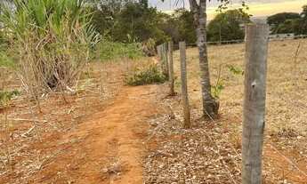 Imagem 6: Chácara em trindade